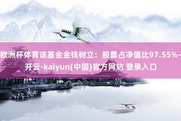 欧洲杯体育该基金金钱树立：股票占净值比97.55%-开云·kaiyun(中国)官方网站 登录入口