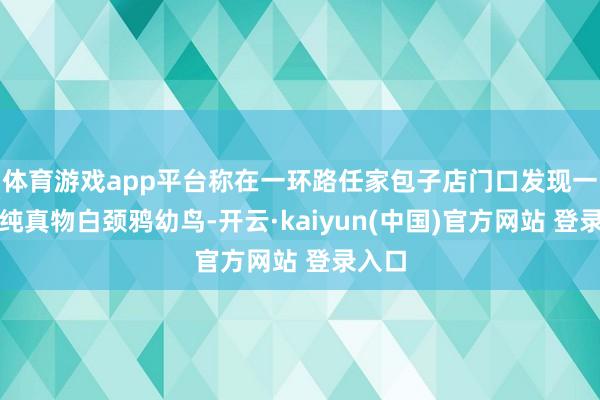 体育游戏app平台称在一环路任家包子店门口发现一只野纯真物白颈鸦幼鸟-开云·kaiyun(中国)官方网站 登录入口