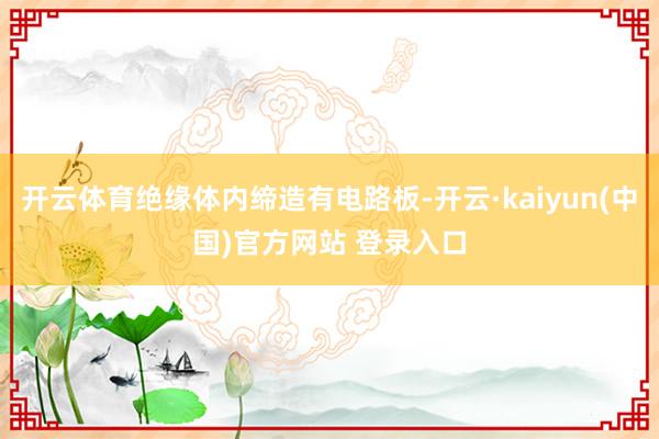 开云体育绝缘体内缔造有电路板-开云·kaiyun(中国)官方网站 登录入口