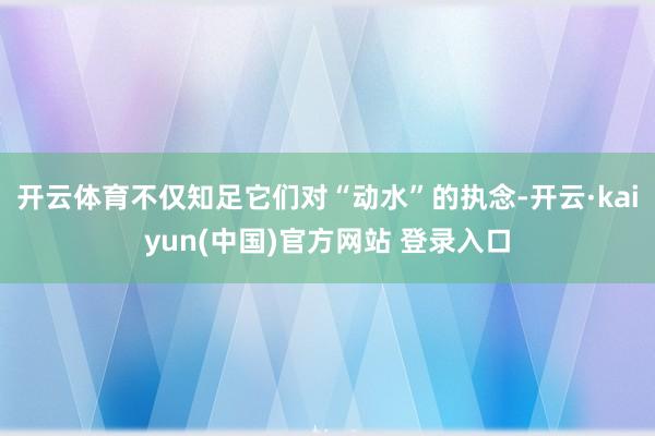 开云体育不仅知足它们对“动水”的执念-开云·kaiyun(中国)官方网站 登录入口