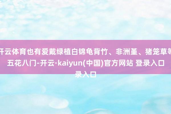 开云体育也有爱戴绿植白锦龟背竹、非洲堇、猪笼草等五花八门-开云·kaiyun(中国)官方网站 登录入口
