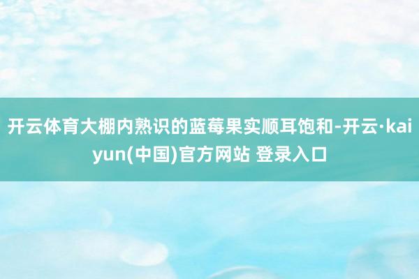 开云体育大棚内熟识的蓝莓果实顺耳饱和-开云·kaiyun(中国)官方网站 登录入口