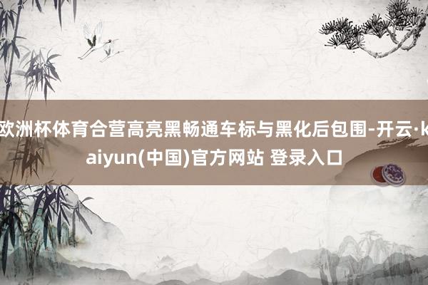 欧洲杯体育合营高亮黑畅通车标与黑化后包围-开云·kaiyun(中国)官方网站 登录入口