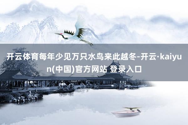 开云体育每年少见万只水鸟来此越冬-开云·kaiyun(中国)官方网站 登录入口