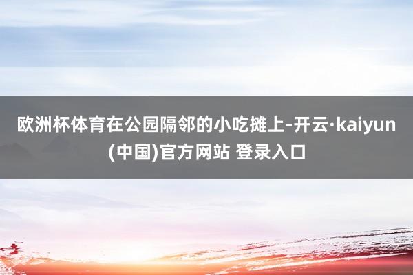 欧洲杯体育在公园隔邻的小吃摊上-开云·kaiyun(中国)官方网站 登录入口