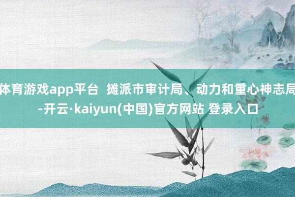 体育游戏app平台  摊派市审计局、动力和重心神志局-开云·kaiyun(中国)官方网站 登录入口