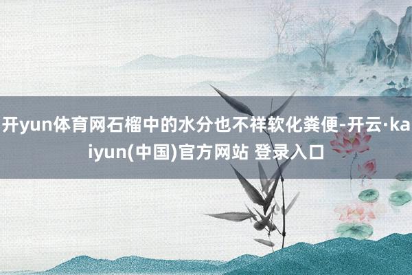 开yun体育网石榴中的水分也不祥软化粪便-开云·kaiyun(中国)官方网站 登录入口