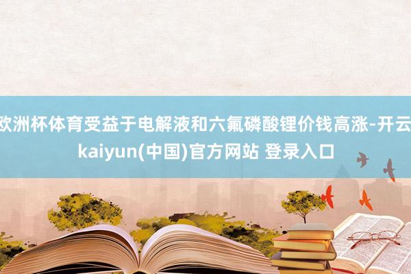 欧洲杯体育受益于电解液和六氟磷酸锂价钱高涨-开云·kaiyun(中国)官方网站 登录入口