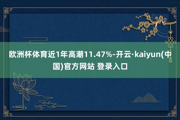 欧洲杯体育近1年高潮11.47%-开云·kaiyun(中国)官方网站 登录入口